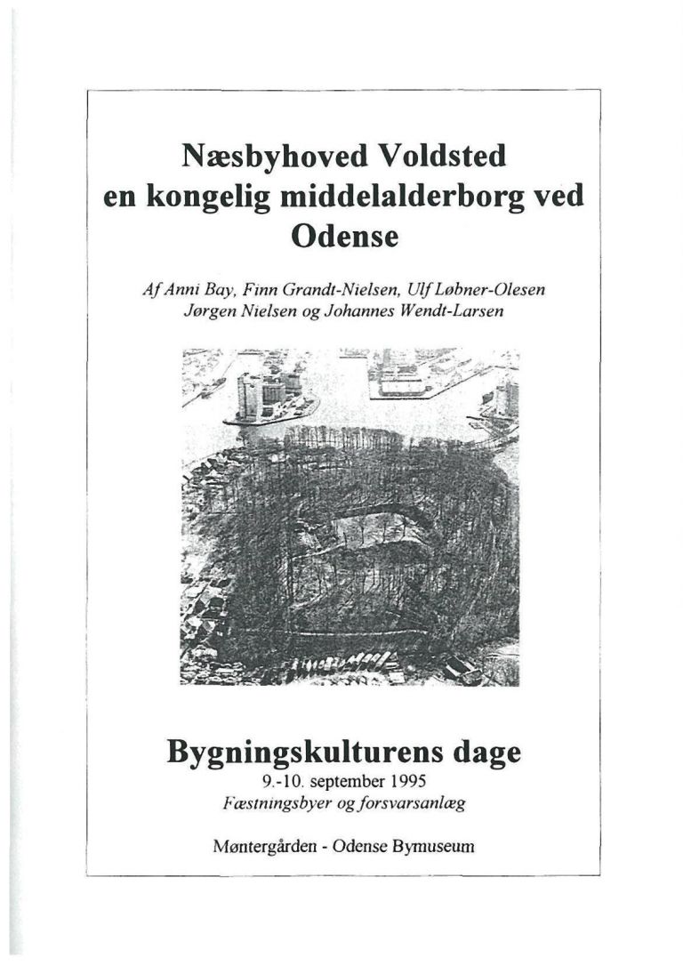 1995 Bygningskulturens dage billede